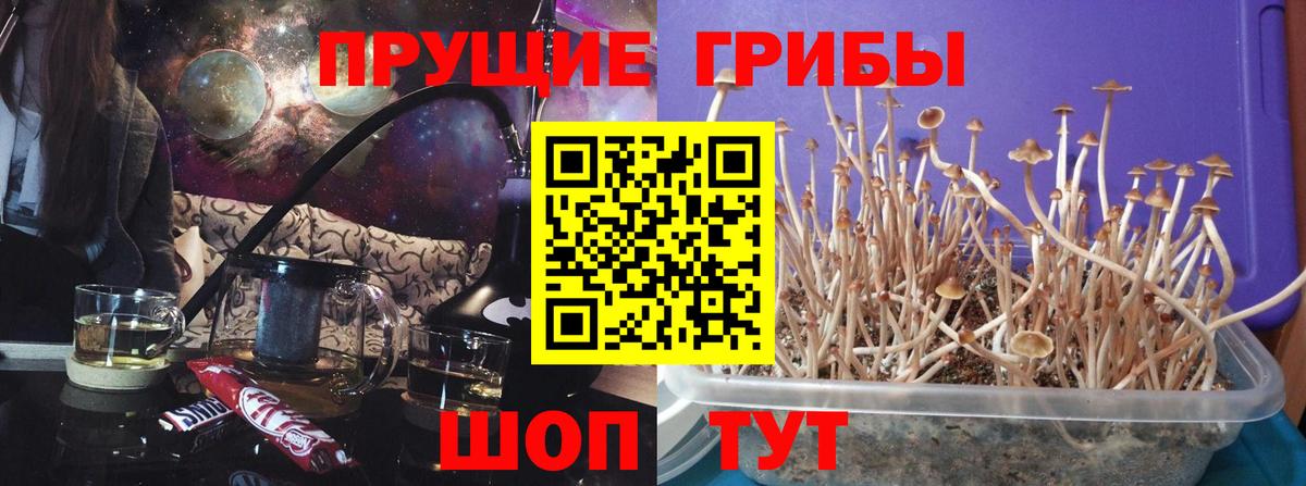 Псилоцибиновые грибы MAGIC MUSHROOMS  Псилоцибиновые грибы MAGIC MUSHROOMS  Вход с VPN  Усинск 